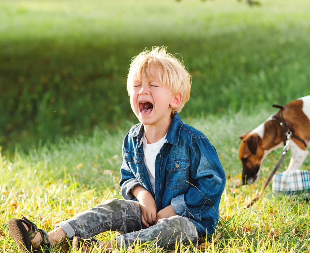 Photo of young boy in a grass field crying